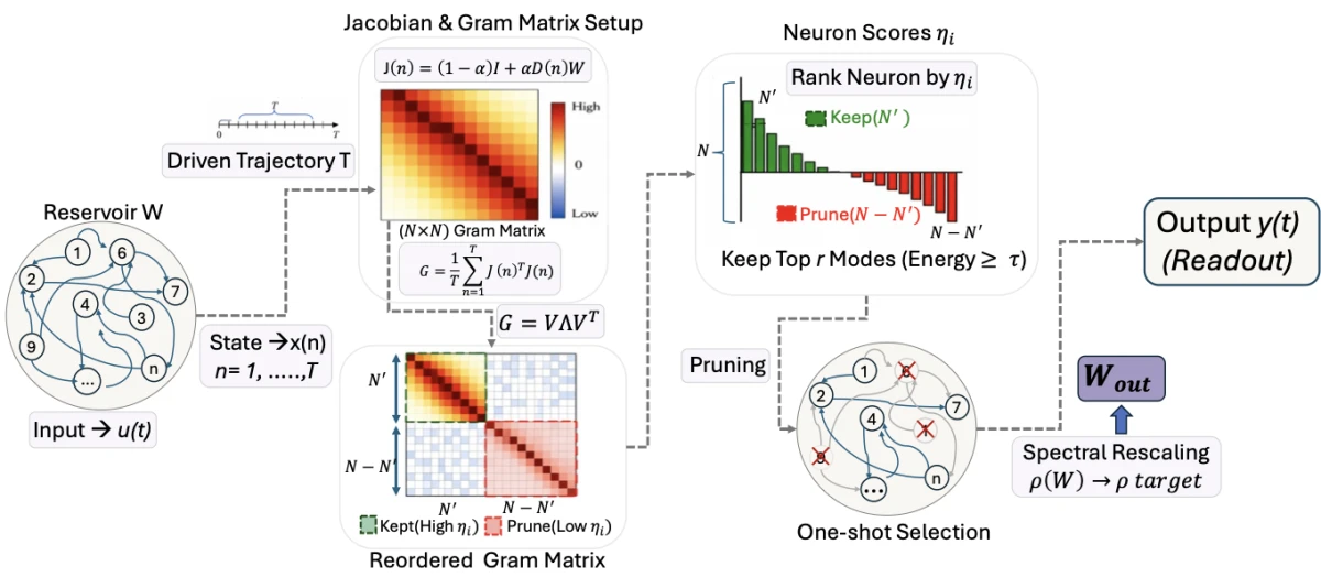 DMP and echo state network pruning method from the research paper